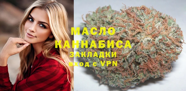 Альфа ПВП Няндома