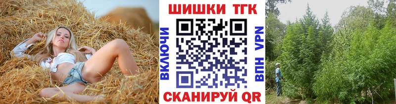 Конопля план  где купить   Юрга 